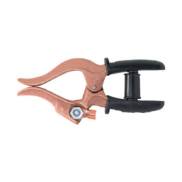 WIPRO Tang Massa (Earth...