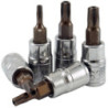 WIPRO Star Bits Socket (Lubang) 5PT 1/4 inchx TS20