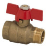 SAILING Ball Valve T(MxF)-(B1015) 1 inchM x 1 inchF PN25