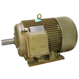 WIPRO Electromotor 3 Phase...