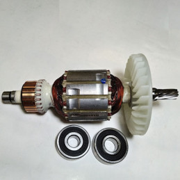 WIPRO SP. W6134B-0019 Bor...