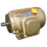 WIPRO Electromotor 3 Phase 1/4HP 2P
