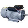 WIPRO Electromotor 1 Phase FLASH-4000L (4HP 4P)