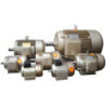 WIPRO Electromotor 1 Phase  1/2HP 6P