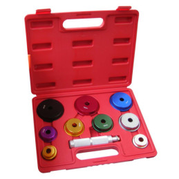 WIPRO Bearing Race and Seal...